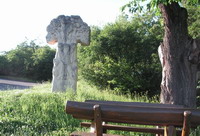lebensbaum